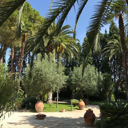 Rosella Roseto Degli Abruzzi