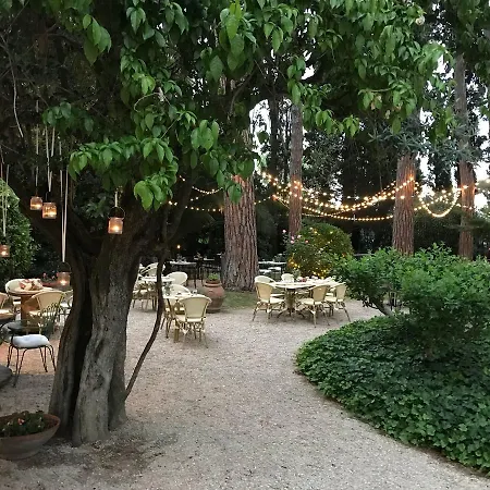 Rosella Roseto Degli Abruzzi